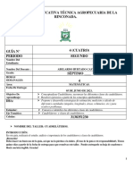 Guia N°4 - Matematicas Septimo Grado Segundo Periodo 2021