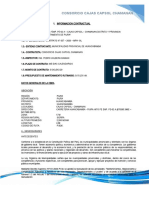 Informe de Residente - FEBRERO 2021 - Consorcio Cajas Capsol-RUTINARIO