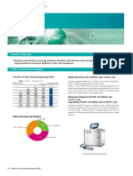 Domino Business: Business Summary by Segment