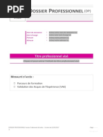 Dossier Professionnel Version Traitement de Texte