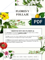 Diapos Flores y Follaje