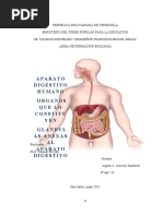 Aparato Digestivo Humano