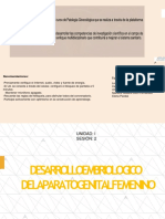 SEMANA 2 (2) - Desarrollo Embriológico Del Aparato Genital Femenino