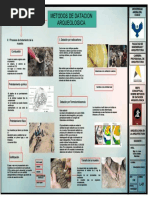 Mapa Conceptual 1