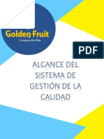 Alcance Del Sistema de Gestión de La Calidad