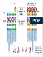 Mapa Conceptual Eslabones Cadena de Supervivencia Aha