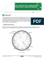 ¿Cómo Crees Que Han Evolucionado Los Seres Vivos