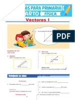 Partes de Un Vector para Cuarto de Primaria