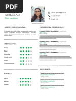 142 Curriculum Vitae Peru