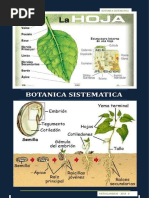 Trabajo 3er Examen