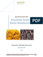 Feasibility Study of Raisin1