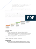 El Ciclo de Vida Del Proyecto Define Las Fases