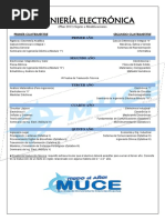 Ing. Electronica 2013 Programa
