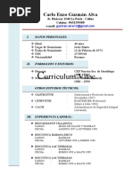 Curriculum Modelo