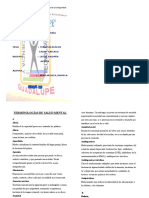 Terminologías de Salud Mental