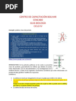 Modulo 9 Biologia 1P2019