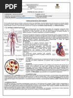 Ciencias Naturales 801 y 804 Guía 3