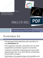 Siklus Sel