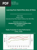 Learning From Hybrid Rice Story of China