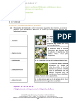 Botanique: Corrigé Du Devoir N°5