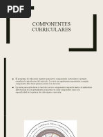 Componentes Curriculares