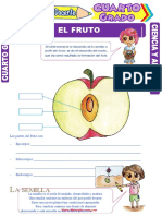 El Fruto para Cuarto Grado de Primaria