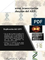 1.1. - Replicación, Transcripción y Traducción Del Código Genético