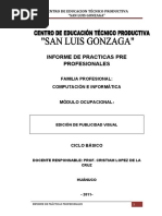 Informe de Practicas Pre Profesionales F