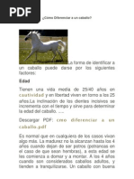 Cómo Diferenciar A Un Caballo