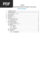 Informe 1 Socioeconomico Proyecto Puente