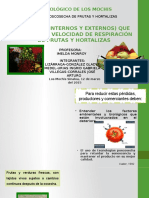 Factores Que Afectan La Respiracion de Frutas y Hortalizas