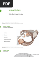 Limbic System: With Dr. Craig Canby