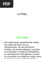 Bio-123. La Hoja