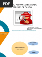 Diseño y Levantamiento de Perfiles