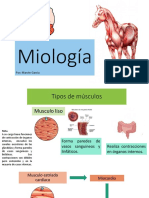 Anatomía y Fisiología Musculos