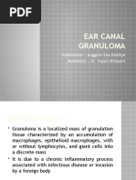 Ear Canal Granuloma: Presentator: Anggoro Eka Raditya Moderator: Dr. Yayan Mitayani