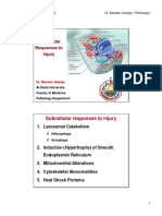 CH 1 - Cell Injury III Subcellular Responses To Injury - PPT (Compatibility Mode)