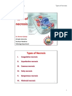 CH 1 - Cell Injury V Types of Necrosis (Compatibility Mode)