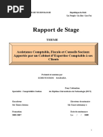 Rapport de Stage. Assistance Comptable, Fiscale Et Conseils Sociaux Apportés Par Un Cabinet D Expertise Comptable À Ses Clients THEME