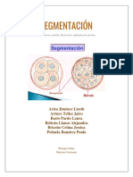 SEGMENTACIÓN