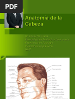 Cabeza Clase 1