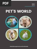 Pet's World Year 3