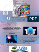 2.introduccion A La Neuropsicologia