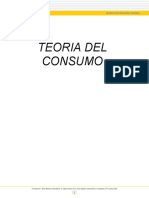 Teoria Del Consumo