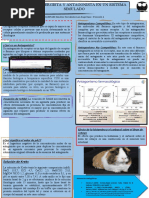  Infografía EFECTO SINERGISTA Y ANTAGONISTA EN UN SISTEMA SIMULADO Sánchez Hernández Luis Angel 316305196