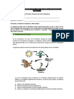 2do Secundaria - PRUEBA de CTA