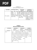 Matriz de Triangulación 1 Pregunta