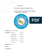 Survey Report Without Survey Method (Group-2)