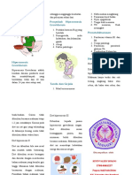 Leaflet Hiperemesis Gravidarum