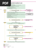 Algorithm 2: Essential Newborn Care: Birth